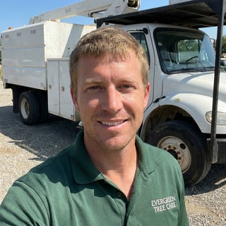 Owner, TreeEx Tree Experts