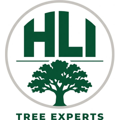 HLI Tree Experts